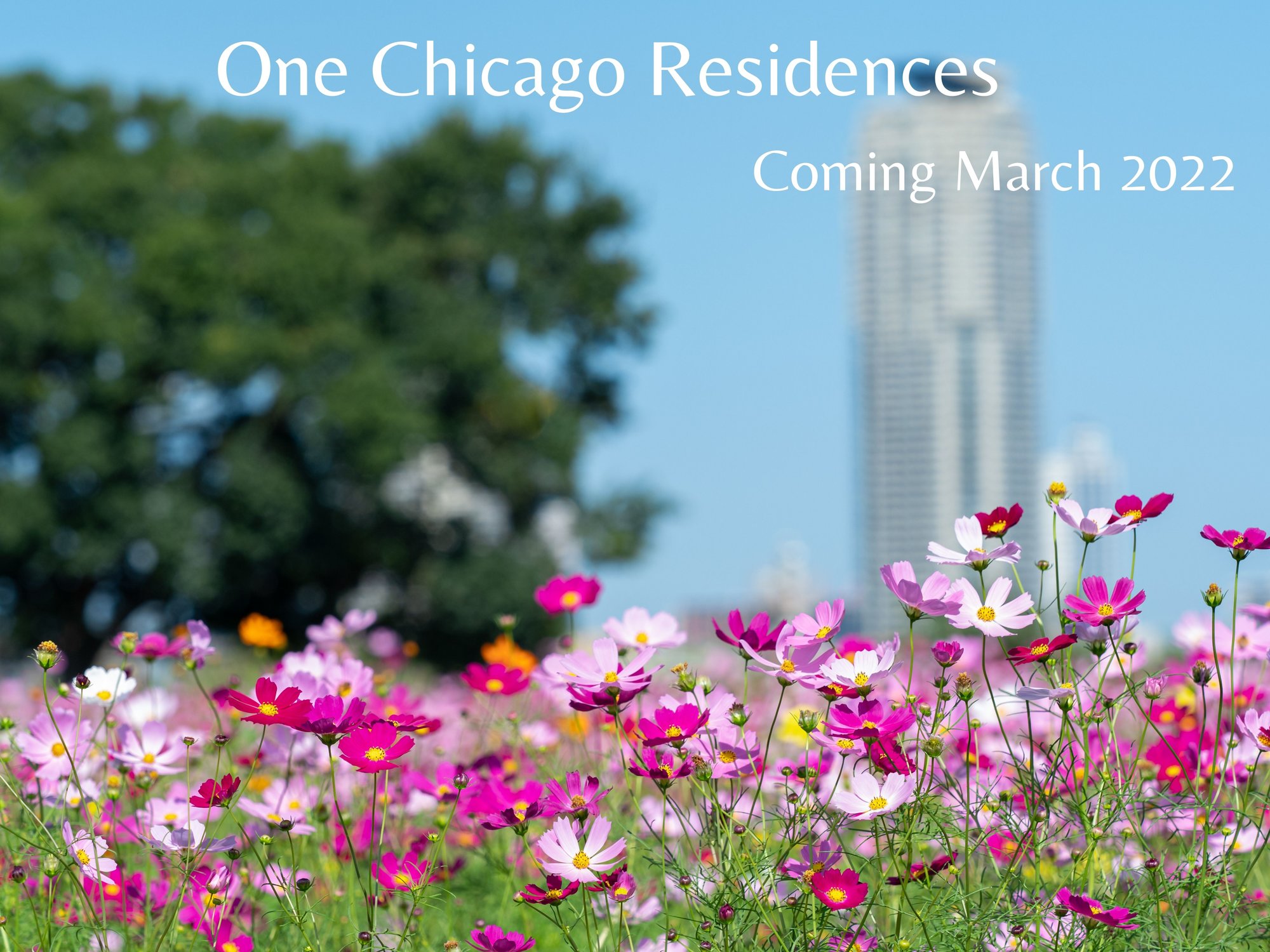 OneChicagoResidences